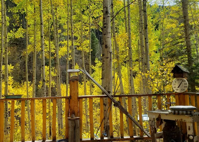 Cabin By The Creek With High Speed Wifi