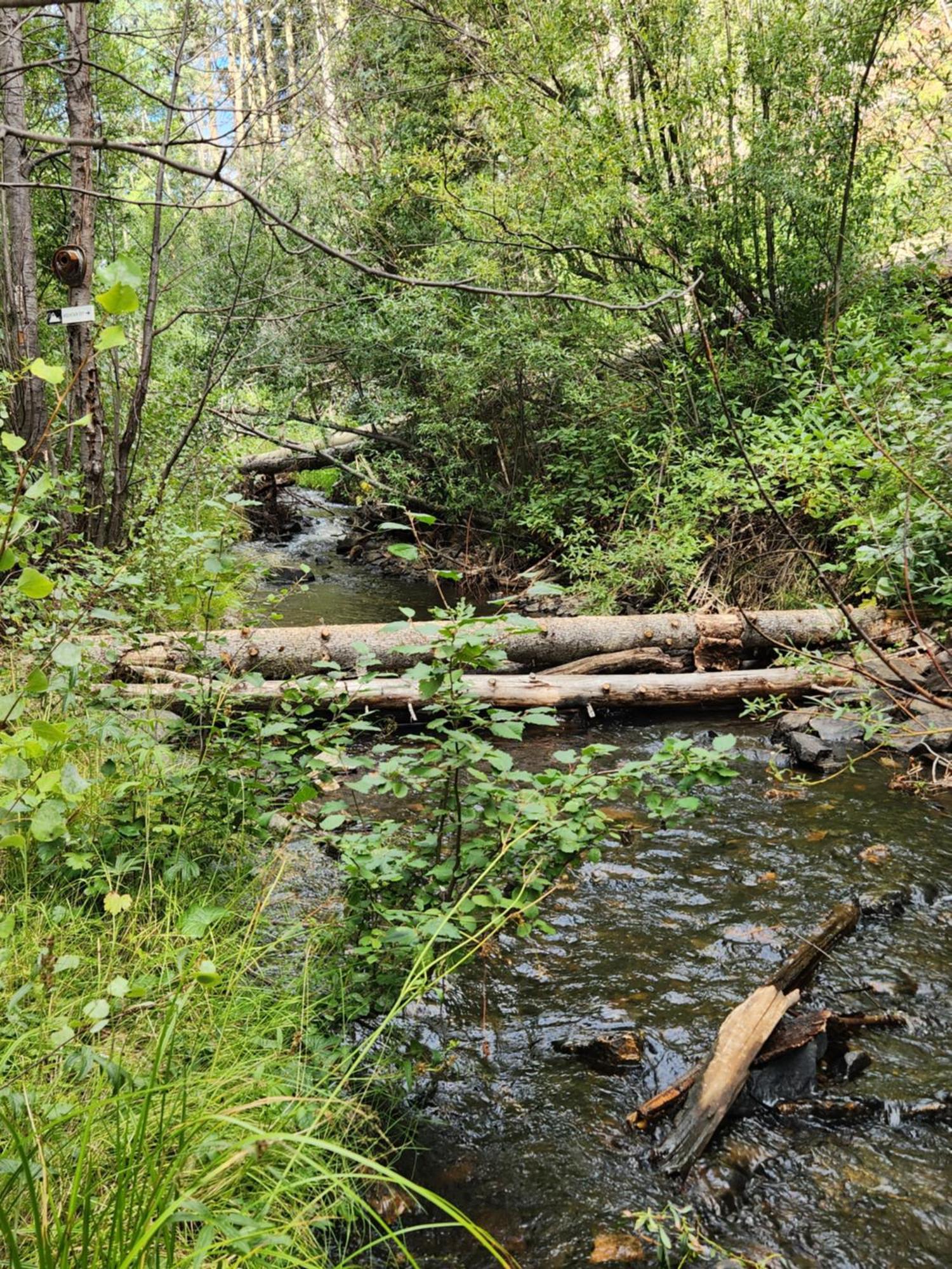 Ferienhaus By The Creek With High Speed Wifi *